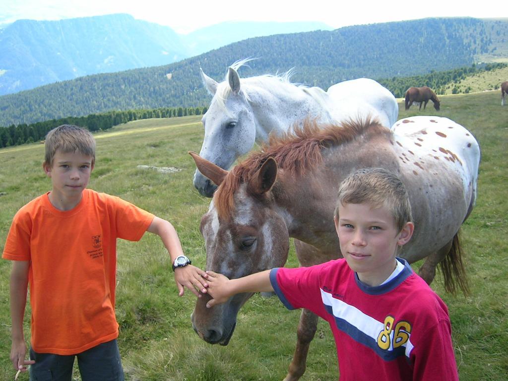 Garni Panoramik Hotel Ortisei Luaran gambar